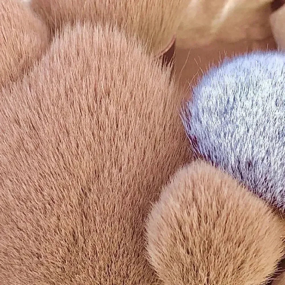 Makeup Brushes Eye Shadow Foundation