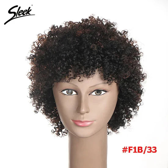 Sleek Natural Brazilian Afro Kinky Curly Human Hair