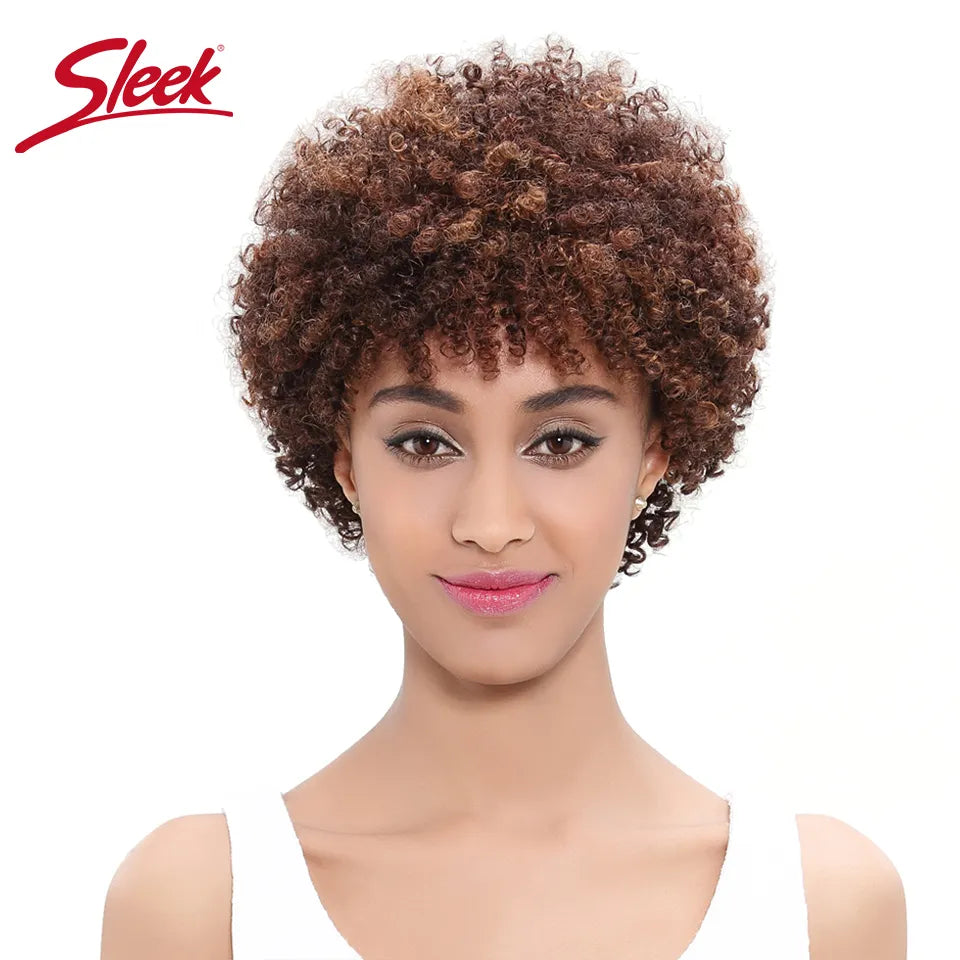 Sleek Natural Brazilian Afro Kinky Curly Human Hair