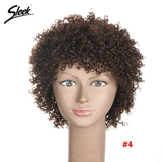 Sleek Natural Brazilian Afro Kinky Curly Human Hair
