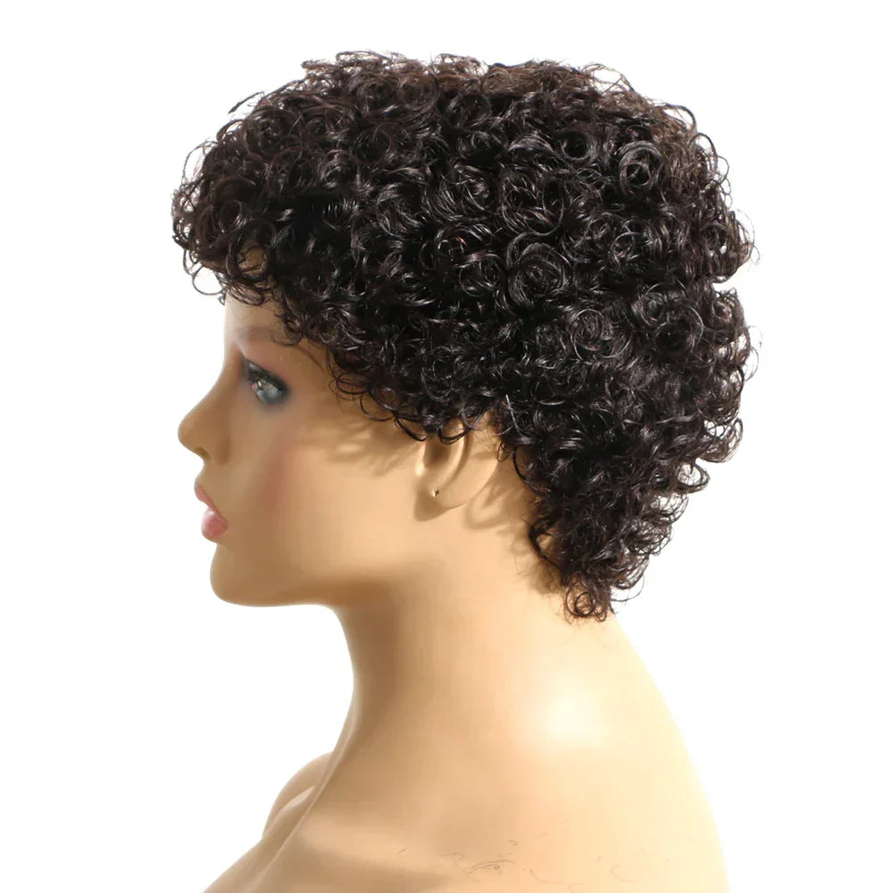 Human Hair Short Jerry Curly Wig Afro