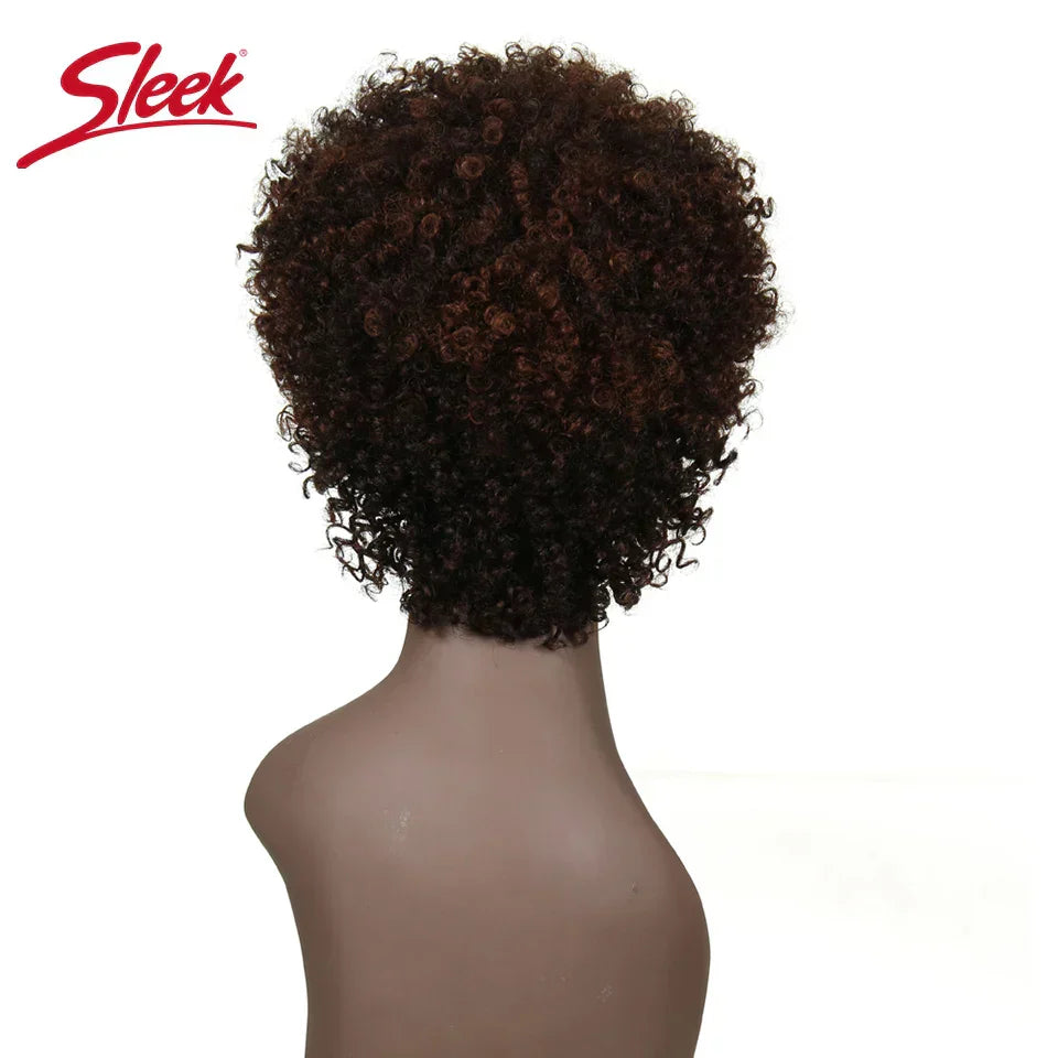 Sleek Natural Brazilian Afro Kinky Curly Human Hair