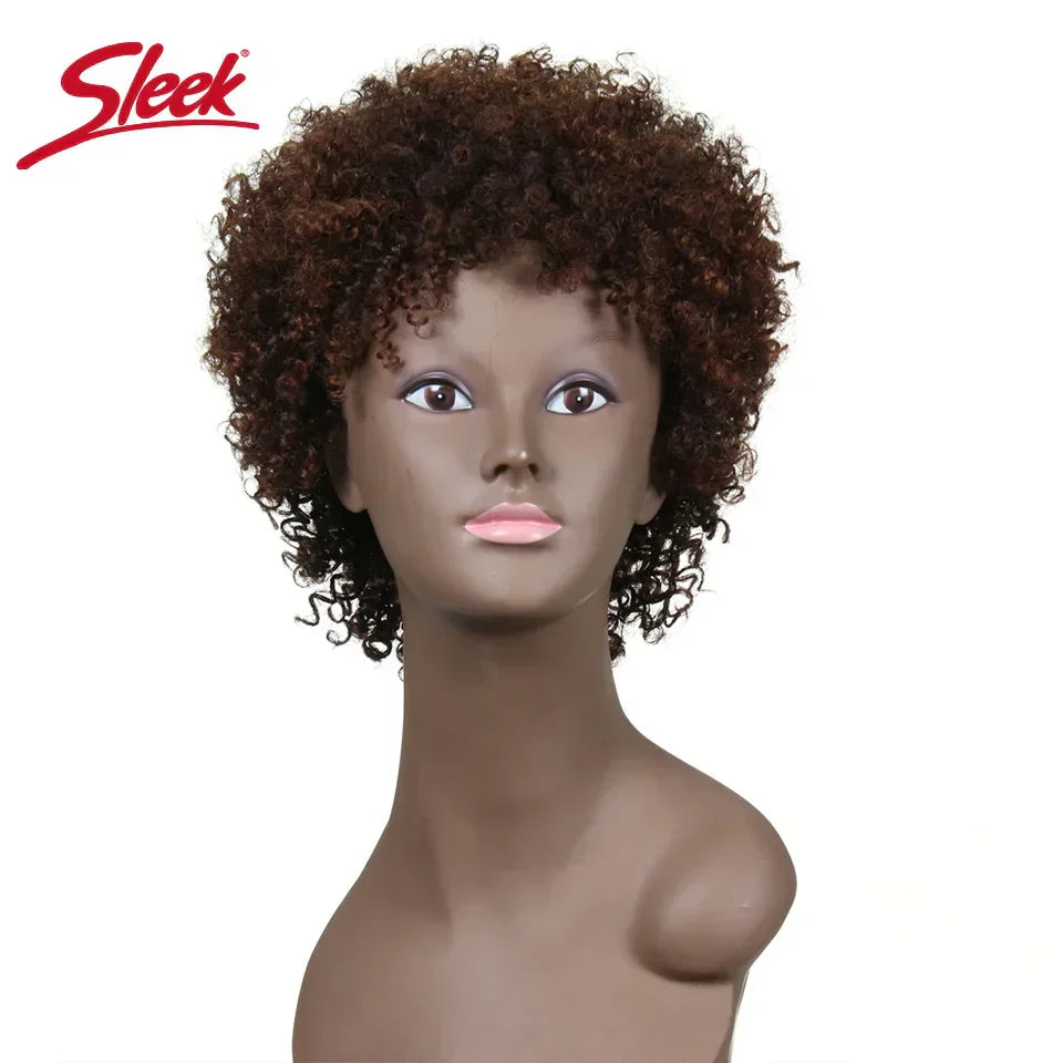 Sleek Natural Brazilian Afro Kinky Curly Human Hair