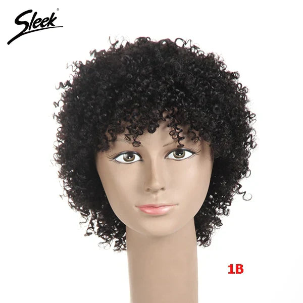 Sleek Natural Brazilian Afro Kinky Curly Human Hair