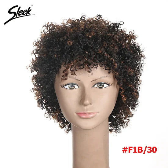 Sleek Natural Brazilian Afro Kinky Curly Human Hair