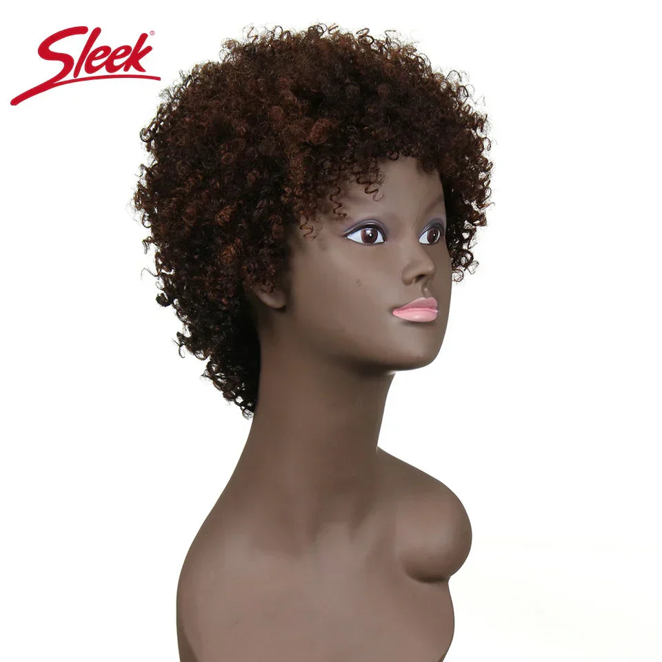 Sleek Natural Brazilian Afro Kinky Curly Human Hair