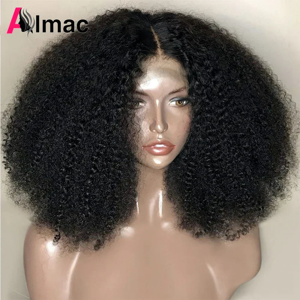 Density Afro Kinky Curly Human Hair Wigs
