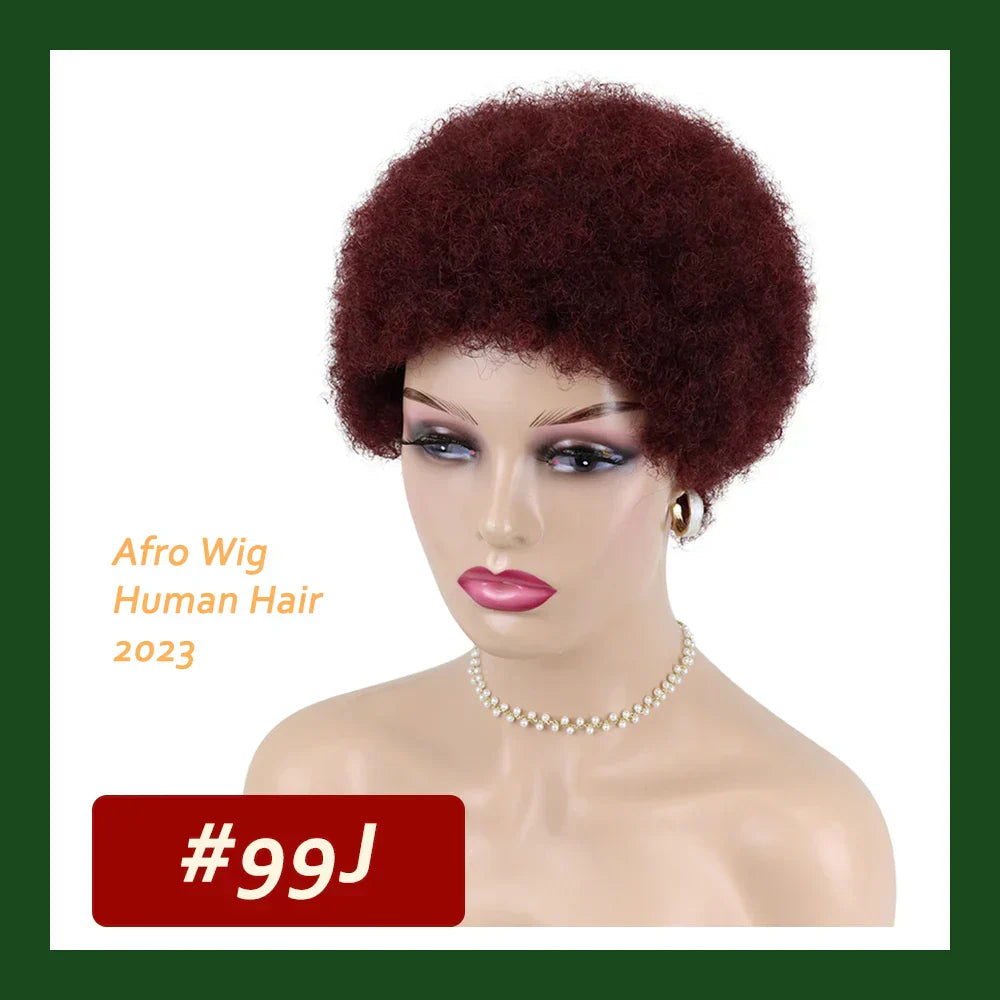 Kinky Curly Wigs Short Wigs For Black Women