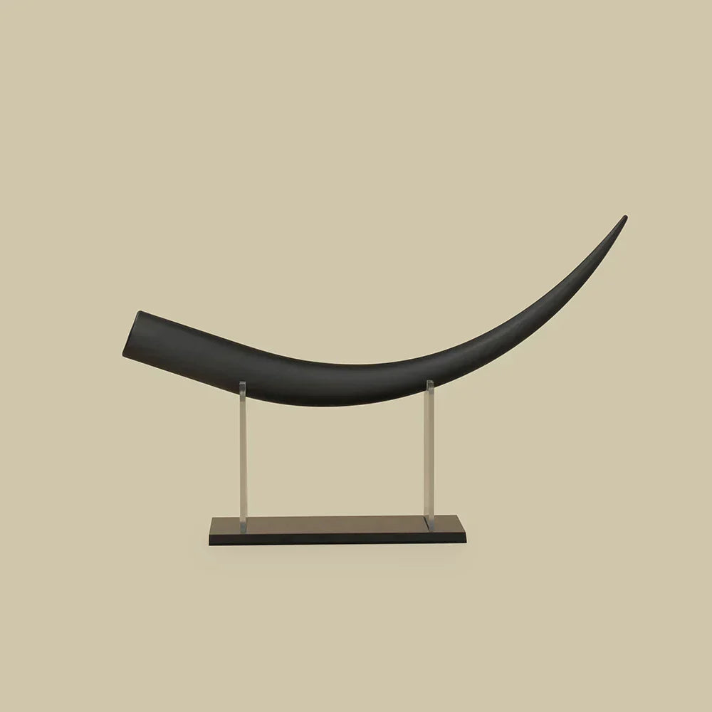 Large Eyelash Display Model Teaching Eyelash Extension Training