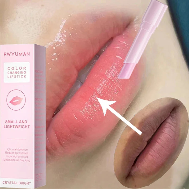 Lip Balm Repair Mini New Korean