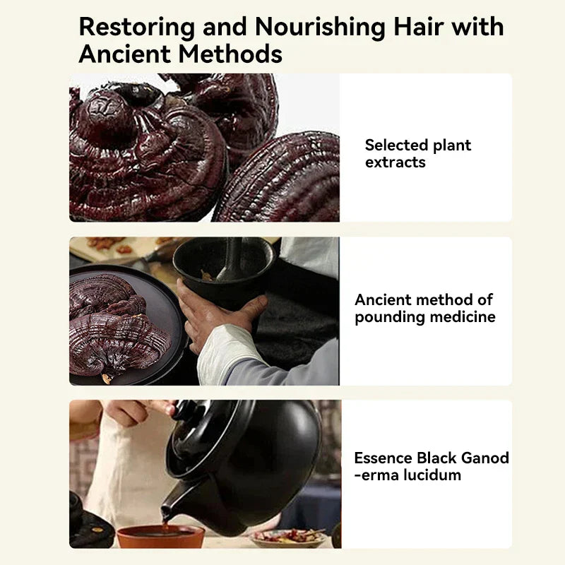 Ginger Plant Extract Anti-Hair Loss Hair Shampoo Polygonum