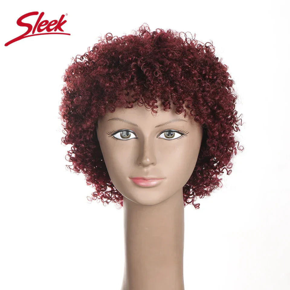 Sleek Natural Brazilian Afro Kinky Curly Human Hair