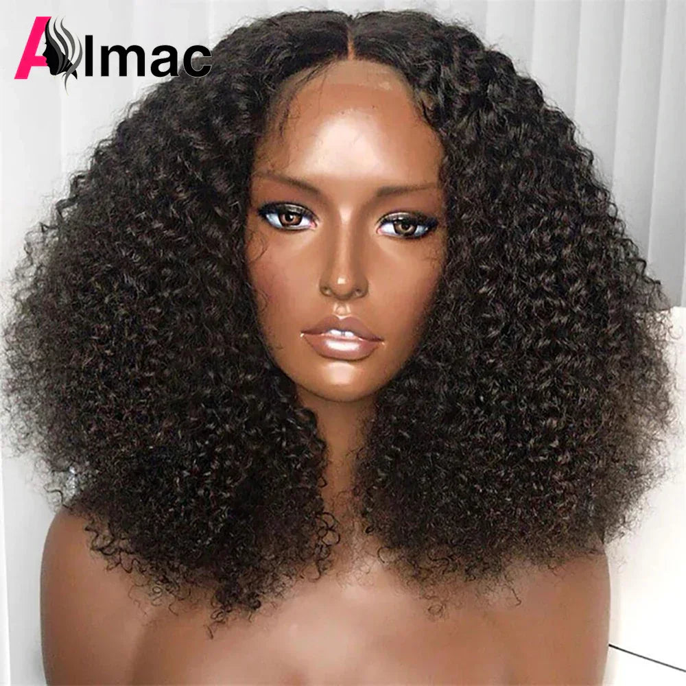 Density Afro Kinky Curly Human Hair Wigs