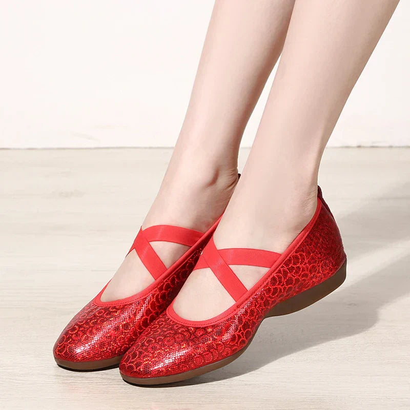 Women Dance Standard Low Heel Shoes Ladies Girls