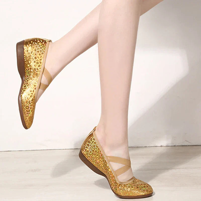 Women Dance Standard Low Heel Shoes Ladies Girls