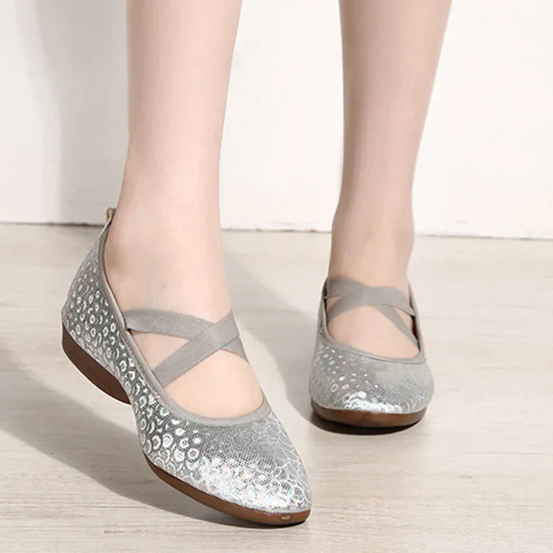 Women Dance Standard Low Heel Shoes Ladies Girls