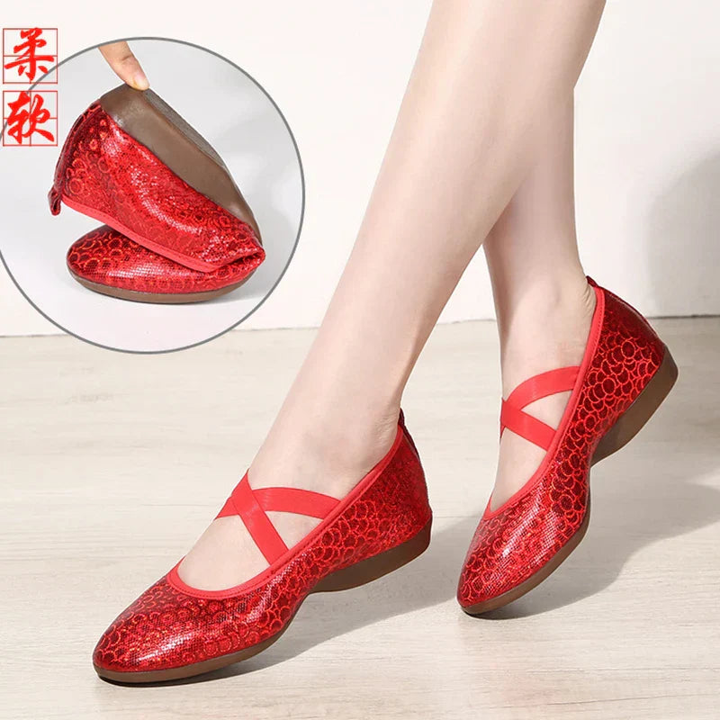 Women Dance Standard Low Heel Shoes Ladies Girls