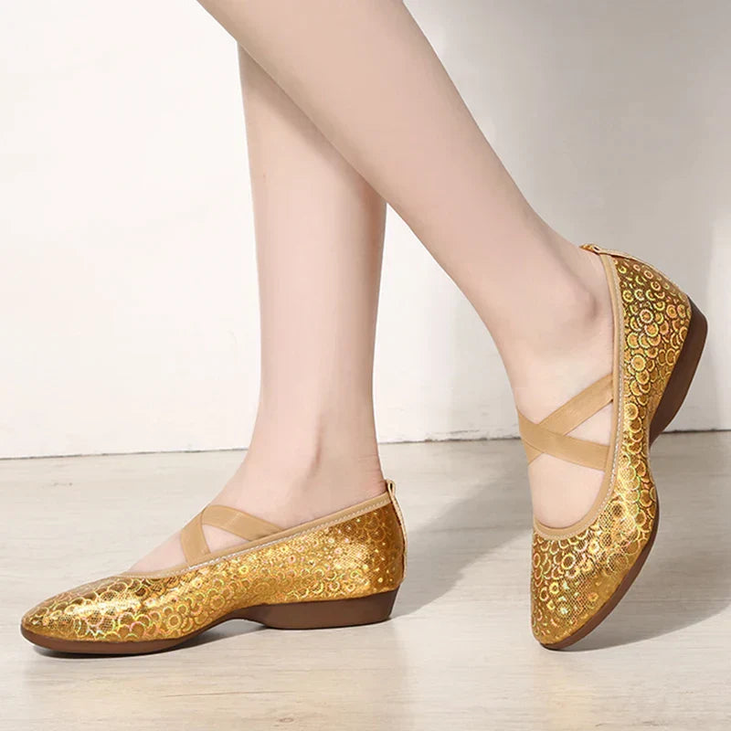 Women Dance Standard Low Heel Shoes Ladies Girls