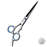 Professional Hairdressing Scissors Straight Shears Cutting And