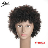 Sleek Natural Brazilian Afro Kinky Curly Human Hair