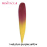 Miss Rola Synthetic Kanekalon Hair Jumbo Braids Inchesg
