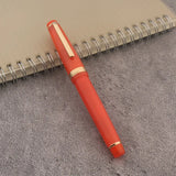 Jinhao Fountain Pen Color Match Dip In