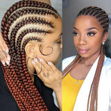 Long Synthetic Braids Full Lace Wig Heat Resistant