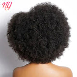 Afro Kinky Curly Lace Front Wig Brazilian Remy