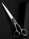 Hair Barbers Tools Salon