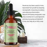Rosemary Essential Oil % Pure Natural Nourish Scalp