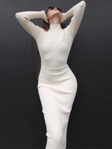 Knitted Turtleneck Dress Women Autumn Winter Long Sleeve
