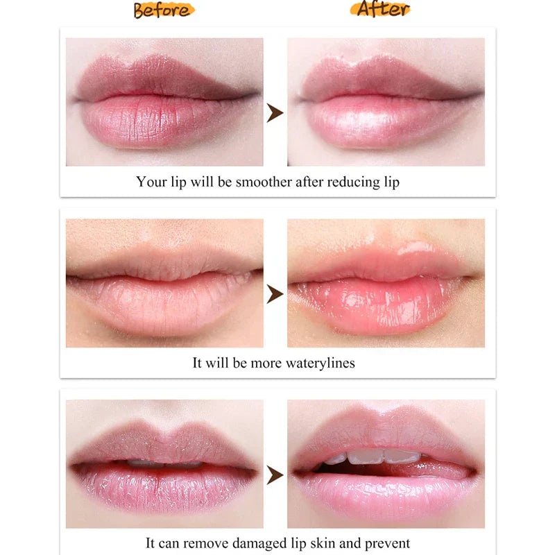 Wholesale Lip Balm Fruit Flavor Lip Gloss