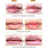 Wholesale Lip Balm Fruit Flavor Lip Gloss