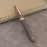 Jinhao Fountain Pen Color Match Dip In