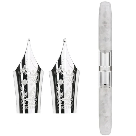 Penbbs Transparent Resin Fountain Pen Double-Nib Ink