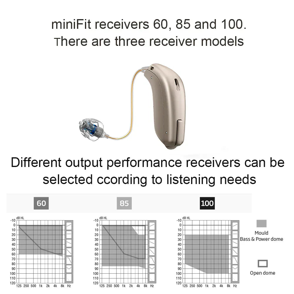 Oticon Ruby Minirite Hearing Aids Channel Programmable Digital
