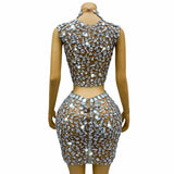 Silver Big Rhinestones Shining Top Skirt Set Sexy