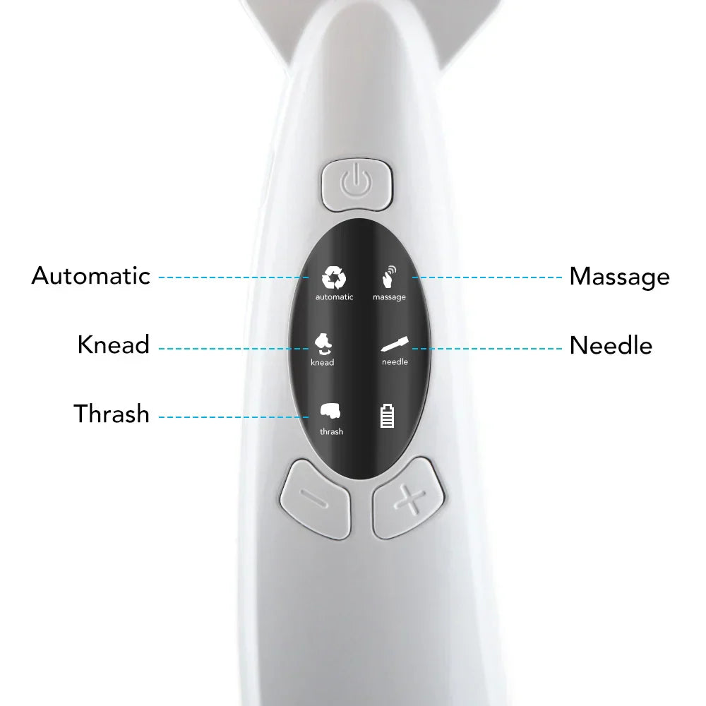 Vip Link Ems Facial Lifting Device Led Photon